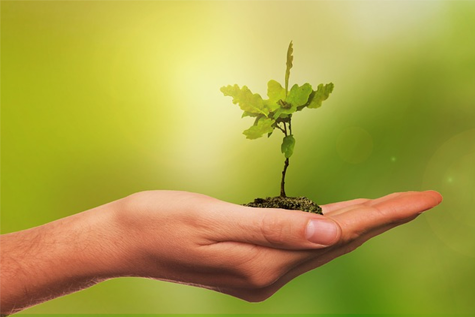 Course Image Gestão do Curso de Gestão Ambiental