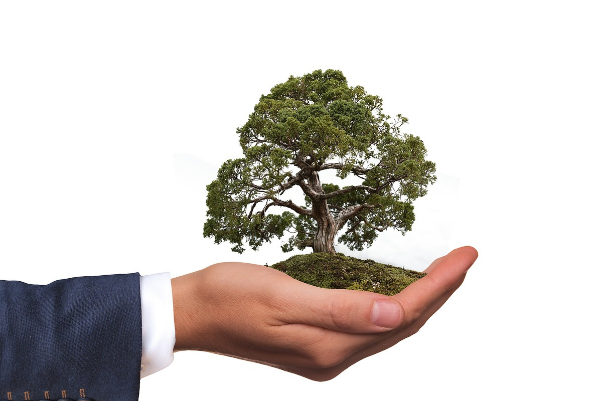 Course Image Direito Ambiental - 19E