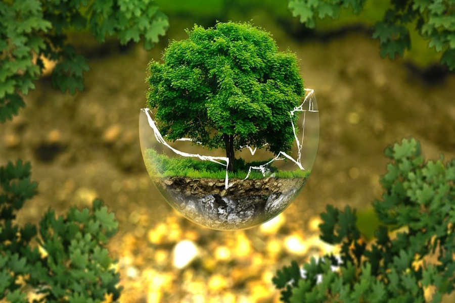 Course Image Direito Ambiental - 2020-11