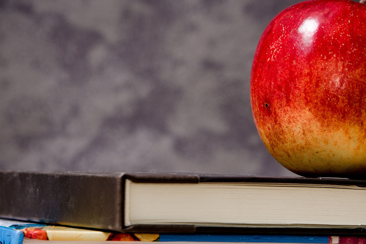 Course Image Política e Legislação da Educação Básica - 2020-12